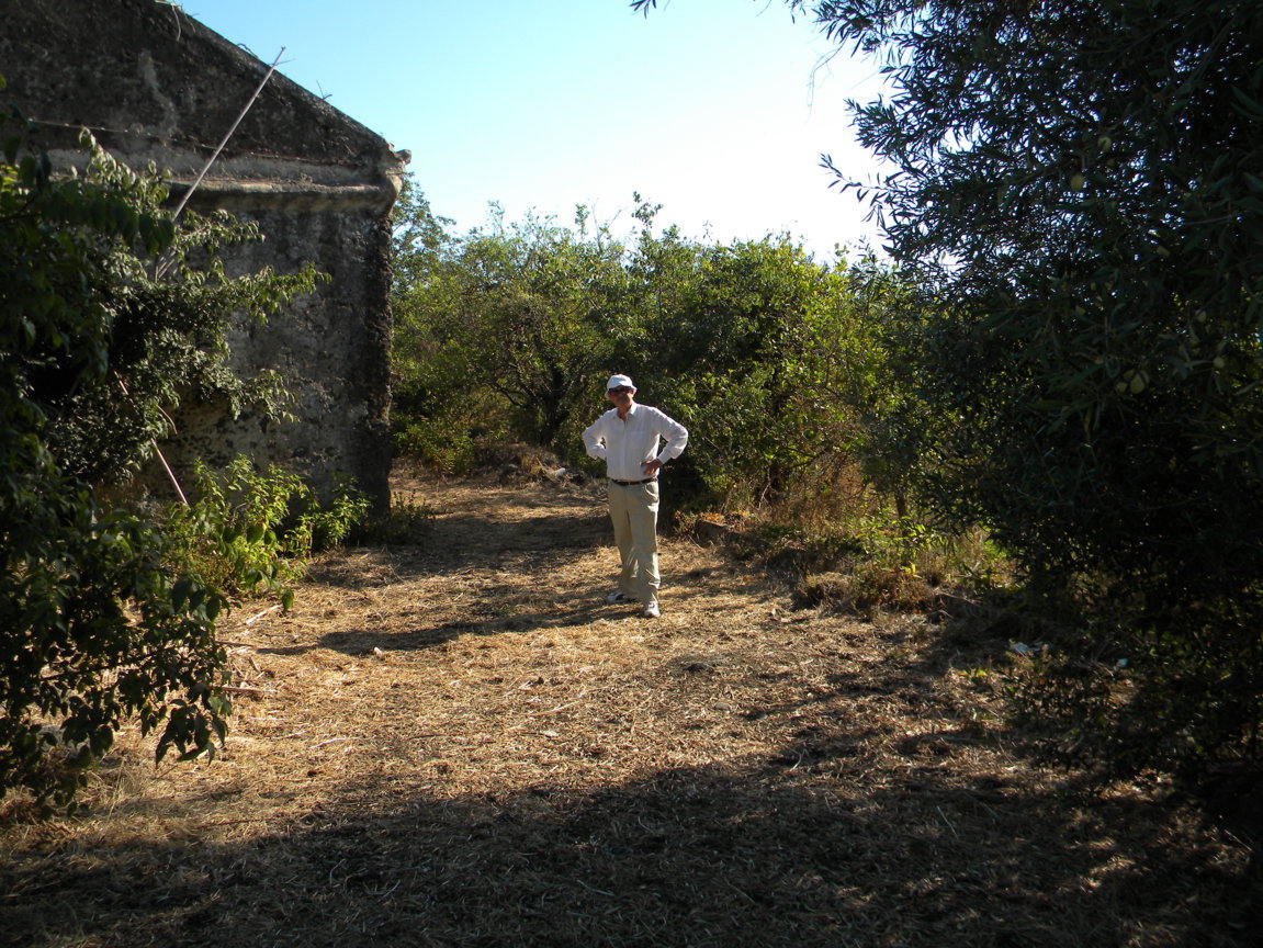 DSCN8131 .JPG